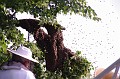 mehrajzas_torokbalint_2011_043