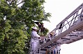 mehrajzas_torokbalint_2011_044
