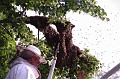 mehrajzas_torokbalint_2011_048