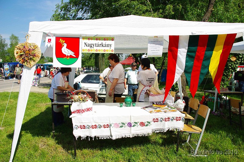 varosi_majalis_egyesuletek_2010_001.jpg