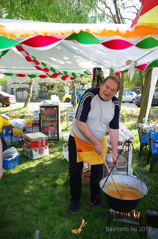 varosi_majalis_egyesuletek_2010_006.jpg