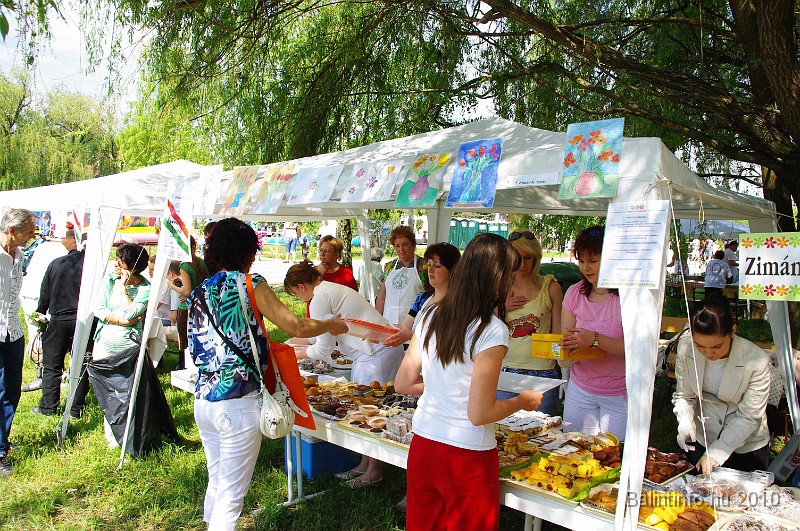 varosi_majalis_egyesuletek_2010_009.jpg