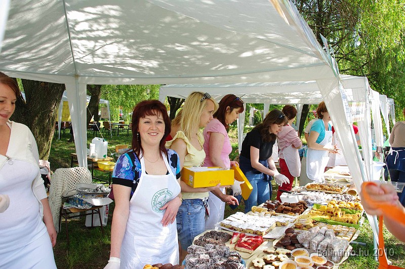 varosi_majalis_egyesuletek_2010_011.jpg