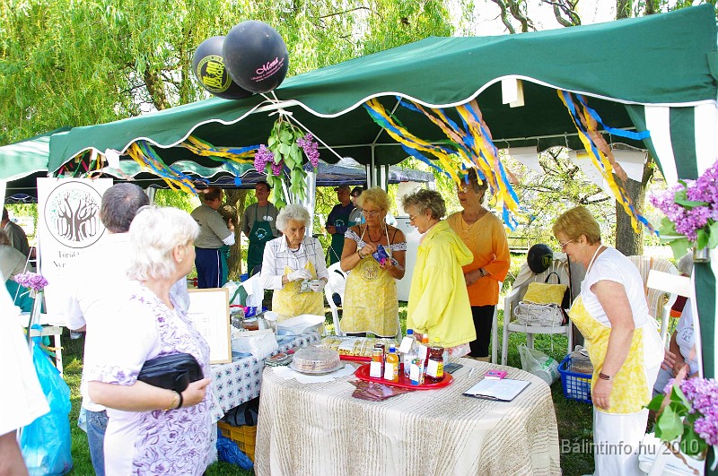 varosi_majalis_egyesuletek_2010_016.jpg