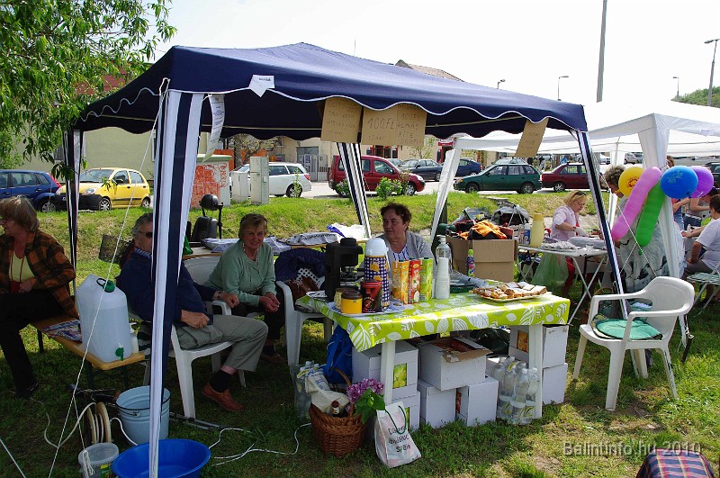 varosi_majalis_egyesuletek_2010_039.jpg