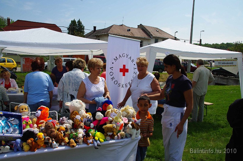 varosi_majalis_egyesuletek_2010_041.jpg