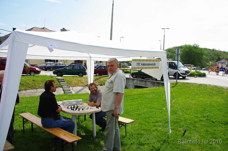 varosi_majalis_egyesuletek_2010_042.jpg
