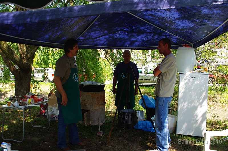 varosi_majalis_egyesuletek_2010_060.jpg