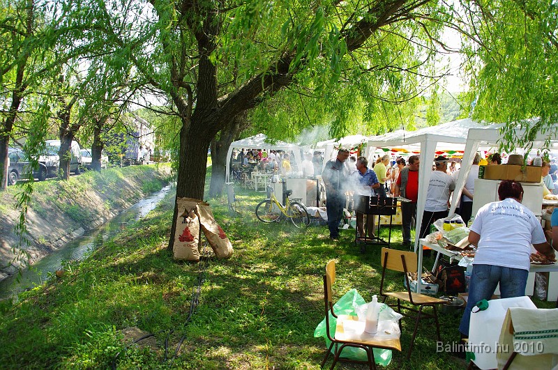 varosi_majalis_egyesuletek_2010_061.jpg