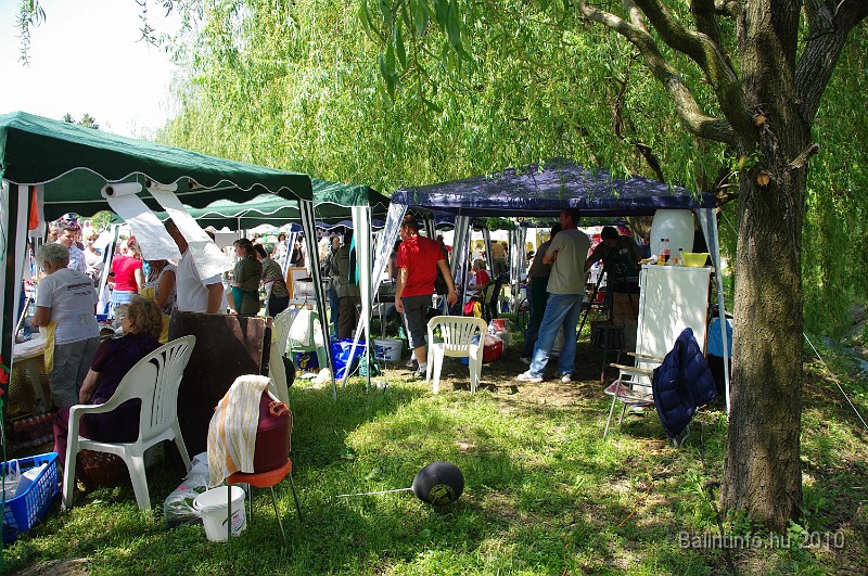 varosi_majalis_egyesuletek_2010_063.jpg