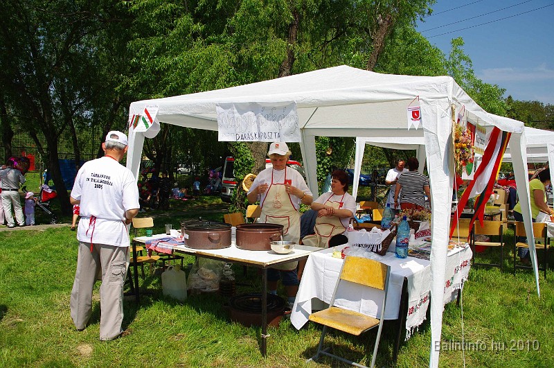 varosi_majalis_egyesuletek_2010_071.jpg