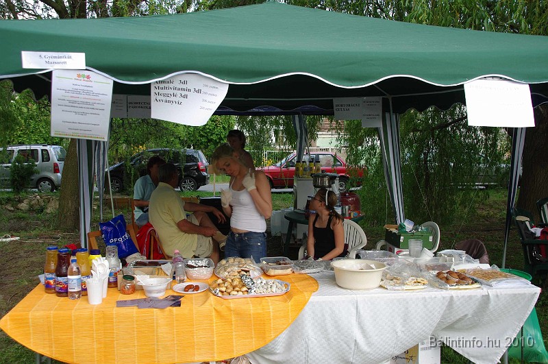 varosi_majalis_egyesuletek_2010_088.jpg