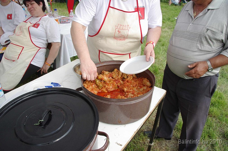 varosi_majalis_egyesuletek_2010_093.jpg