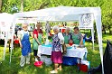 varosi_majalis_egyesuletek_2010_004