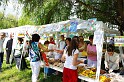 varosi_majalis_egyesuletek_2010_009