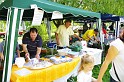 varosi_majalis_egyesuletek_2010_013