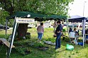 varosi_majalis_egyesuletek_2010_038