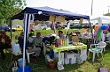 varosi_majalis_egyesuletek_2010_039