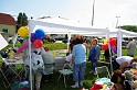 varosi_majalis_egyesuletek_2010_040