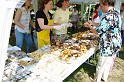 varosi_majalis_egyesuletek_2010_052