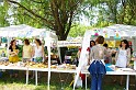 varosi_majalis_egyesuletek_2010_054