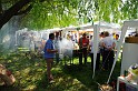 varosi_majalis_egyesuletek_2010_062