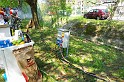 varosi_majalis_egyesuletek_2010_065