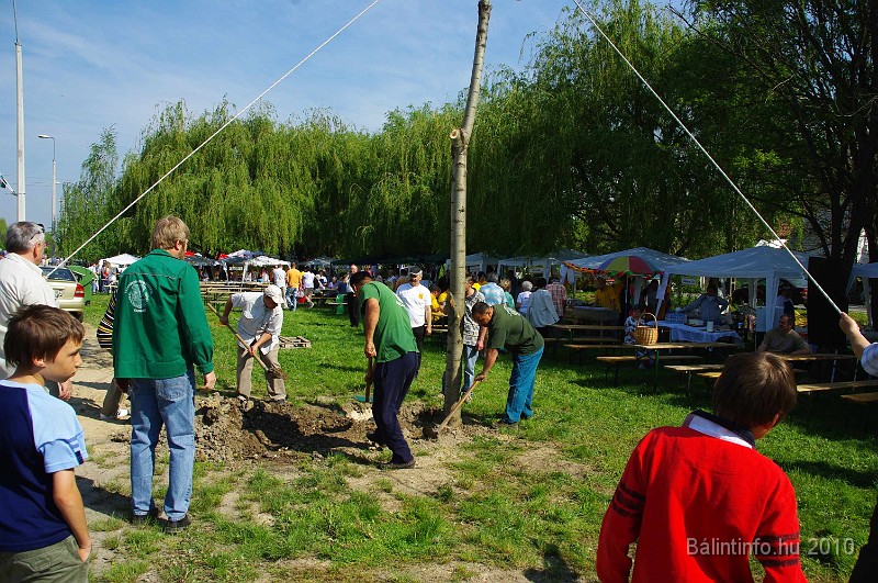 varosi_majalis_eletkepek_2010_012.jpg