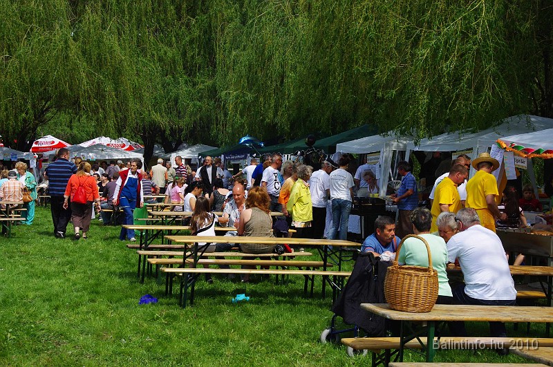 varosi_majalis_eletkepek_2010_062.jpg