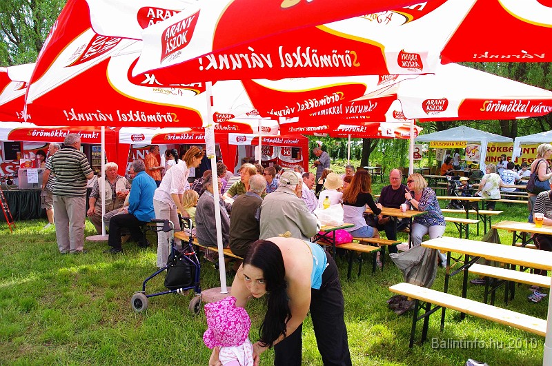 varosi_majalis_eletkepek_2010_078.jpg