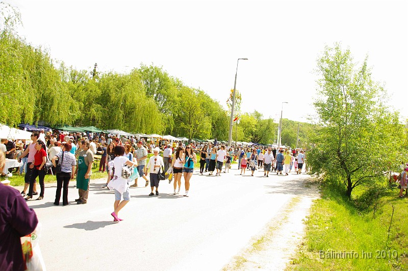 varosi_majalis_eletkepek_2010_089.jpg