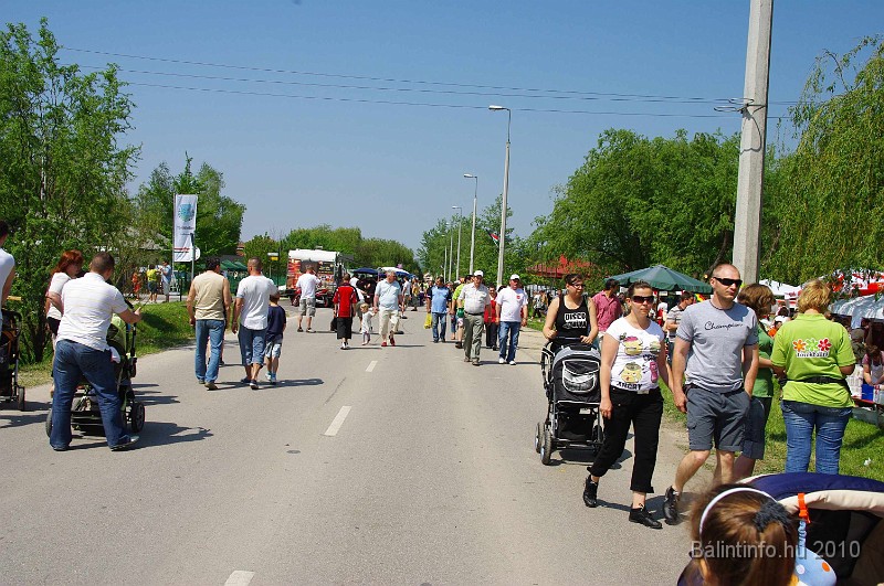 varosi_majalis_eletkepek_2010_152.jpg