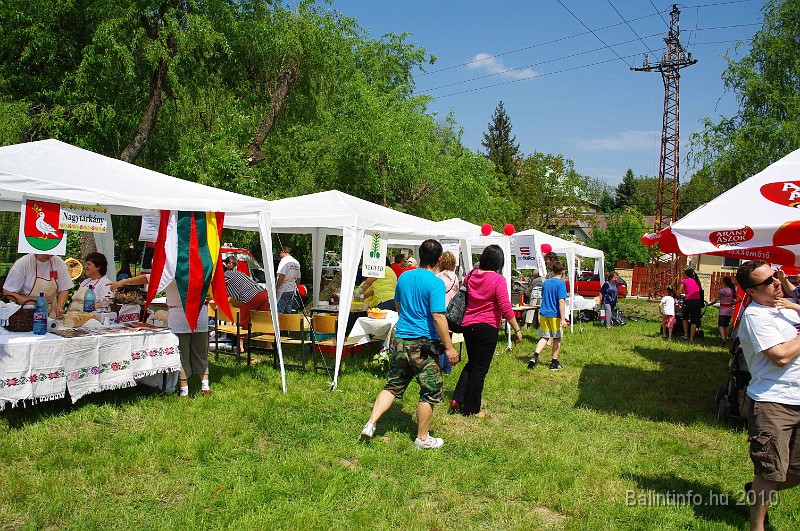varosi_majalis_eletkepek_2010_155.jpg