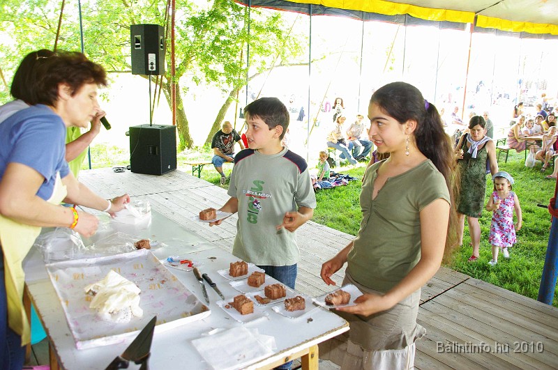 varosi_majalis_eletkepek_2010_179.jpg