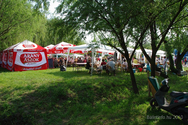 varosi_majalis_eletkepek_2010_197.jpg