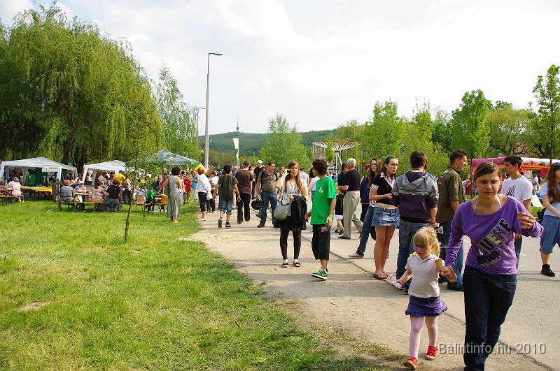 varosi_majalis_eletkepek_2010_229.jpg