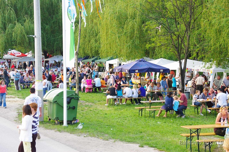 varosi_majalis_eletkepek_2010_289.jpg