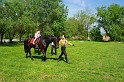 varosi_majalis_eletkepek_2010_026