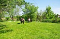 varosi_majalis_eletkepek_2010_029