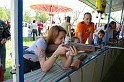 varosi_majalis_eletkepek_2010_102