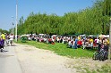 varosi_majalis_eletkepek_2010_138