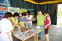 varosi_majalis_eletkepek_2010_169