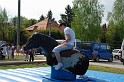 varosi_majalis_eletkepek_2010_200