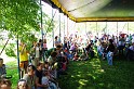 varosi_majalis_fellepok_2010_010