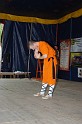 varosi_majalis_fellepok_2010_185