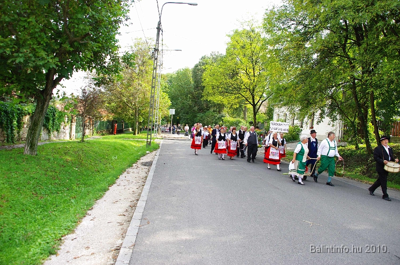 szureti_felvonulas_2010_050.jpg