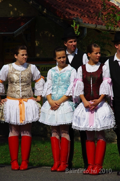 szureti_felvonulas_2010_061.jpg