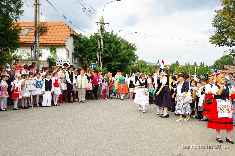 szureti_felvonulas_2010_128.jpg