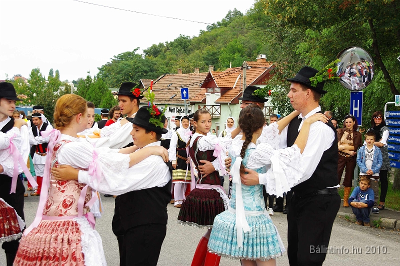 szureti_felvonulas_2010_141.jpg