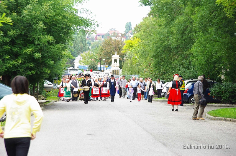 szureti_felvonulas_2010_143.jpg